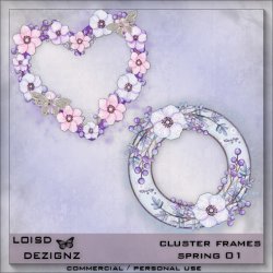 Cluster Frames - Spring 01 - CU/PU