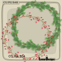 CU Vol. 934 Frames by Lemur Designs