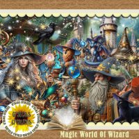 Magic World of Wizard