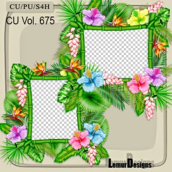 CU Vol. 675 Frames
