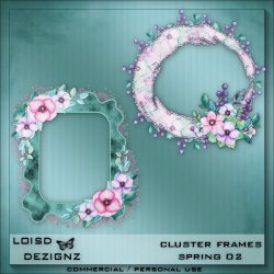 Cluster Frames - Spring 02 - CU/PU