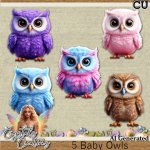 Baby Owls CU Pack