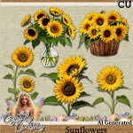 Sunflower CU Pack