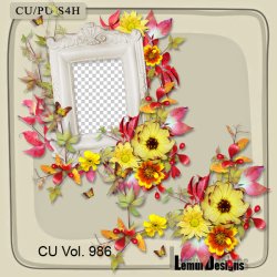 CU Vol. 986 Clusters by Lemur Designs
