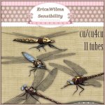 EW Dragonfly Elements Pack