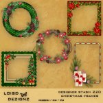 Designer Stash 220 - Christmas Frames - cu4cu/cu/pu