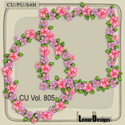 CU Vol. 805 Frames by Lemur Designs
