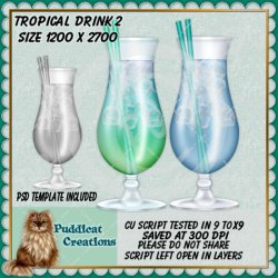 Tropical Drink 2 Script