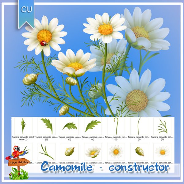 Camomile constructor - Click Image to Close