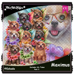 Maximus CU/PU Pack 3 Maximus CU/PU Pack 3