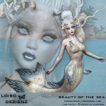 Beauty Of The Sea - CU / PU