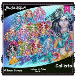 Callisto CU/PU Pack 2