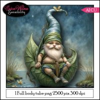 EW AI Gnome 03 2025