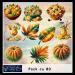 Cu pack 80