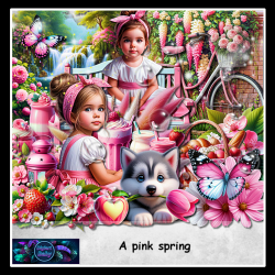 A pink spring A pink spring