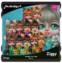 Ziggy CU/PU Pack 3