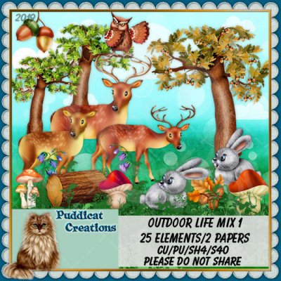 Outdoor Life Mix 1