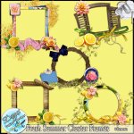 FRESH SUMMER CLUSTER FRAMES - TAGGER SIZE by Disyas