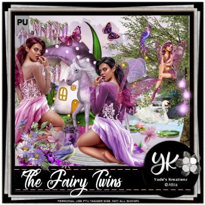 The Fairy Twins