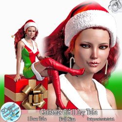 CHRISTMAS GIFT IRAY POSER TUBE CU - FS by Disyas