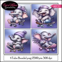 EW AI Elephant Bundel 01 2026