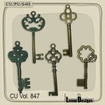 CU Vol. 847 Key by Lemur Designs