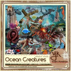 Ocean Creatures