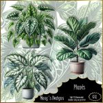 AI - Plants