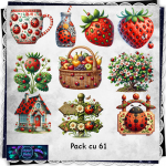 Pack cu 61