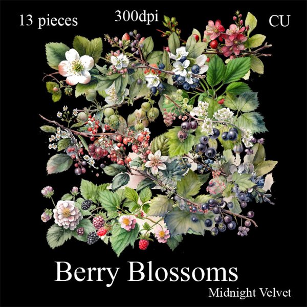 Berry Blossoms Element Pack - Click Image to Close