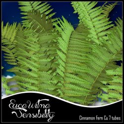 EW Cinnamon Fern