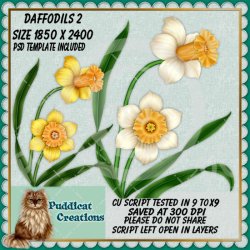 Daffodils 2 Script