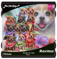 Maximus CU/PU Pack 1 Maximus CU/PU Pack 1