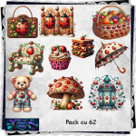 Pack cu 62