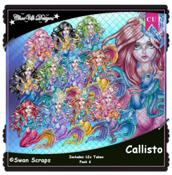 Callisto CU/PU Pack 6