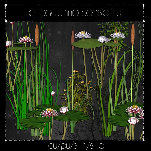 EW Live Pond Plants - Click Image to Close