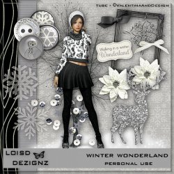 Winter Wonderland - Personal Use