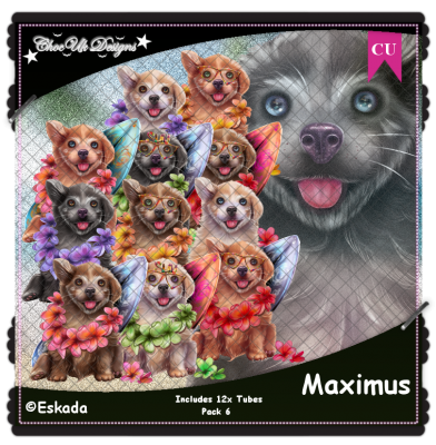 Maximus CU/PU Pack 6