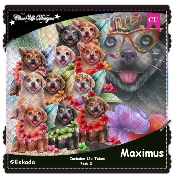 Maximus CU/PU Pack 2 - Click Image to Close