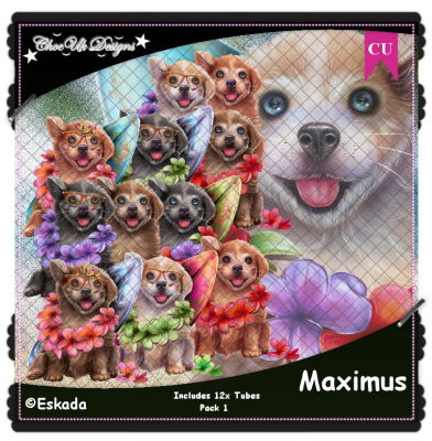 Maximus CU/PU Pack 1