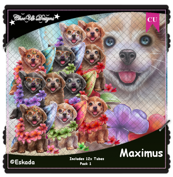 Maximus CU/PU Pack 1 - Click Image to Close