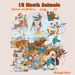 12 Month Animals