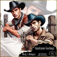 AI - Handsome Cowboys