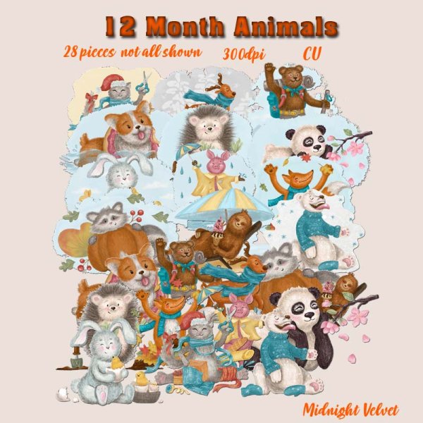 12 Month Animals - Click Image to Close