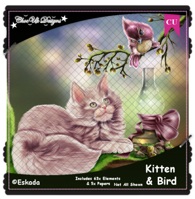 Kitten & Bird CU/PU Pack
