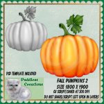Fall Pumpkins 2 Script