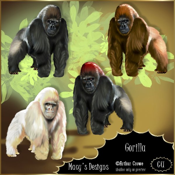 Gorilla - Click Image to Close