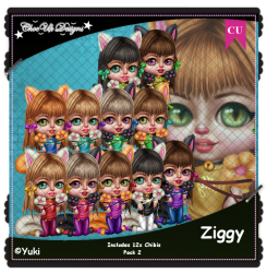 Ziggy CU/PU Pack 2