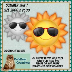 Summer Sun 1 Script