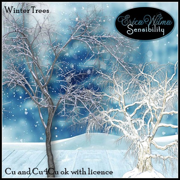 EW Wintertrees - Click Image to Close